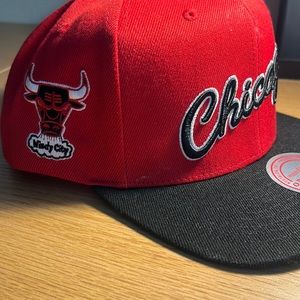 Chicago bulls snap back